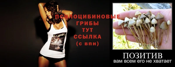 ГАЛЛЮЦИНОГЕННЫЕ ГРИБЫ Алзамай